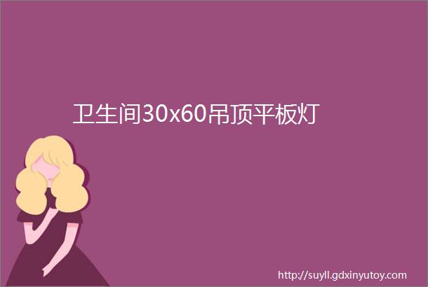 卫生间30x60吊顶平板灯